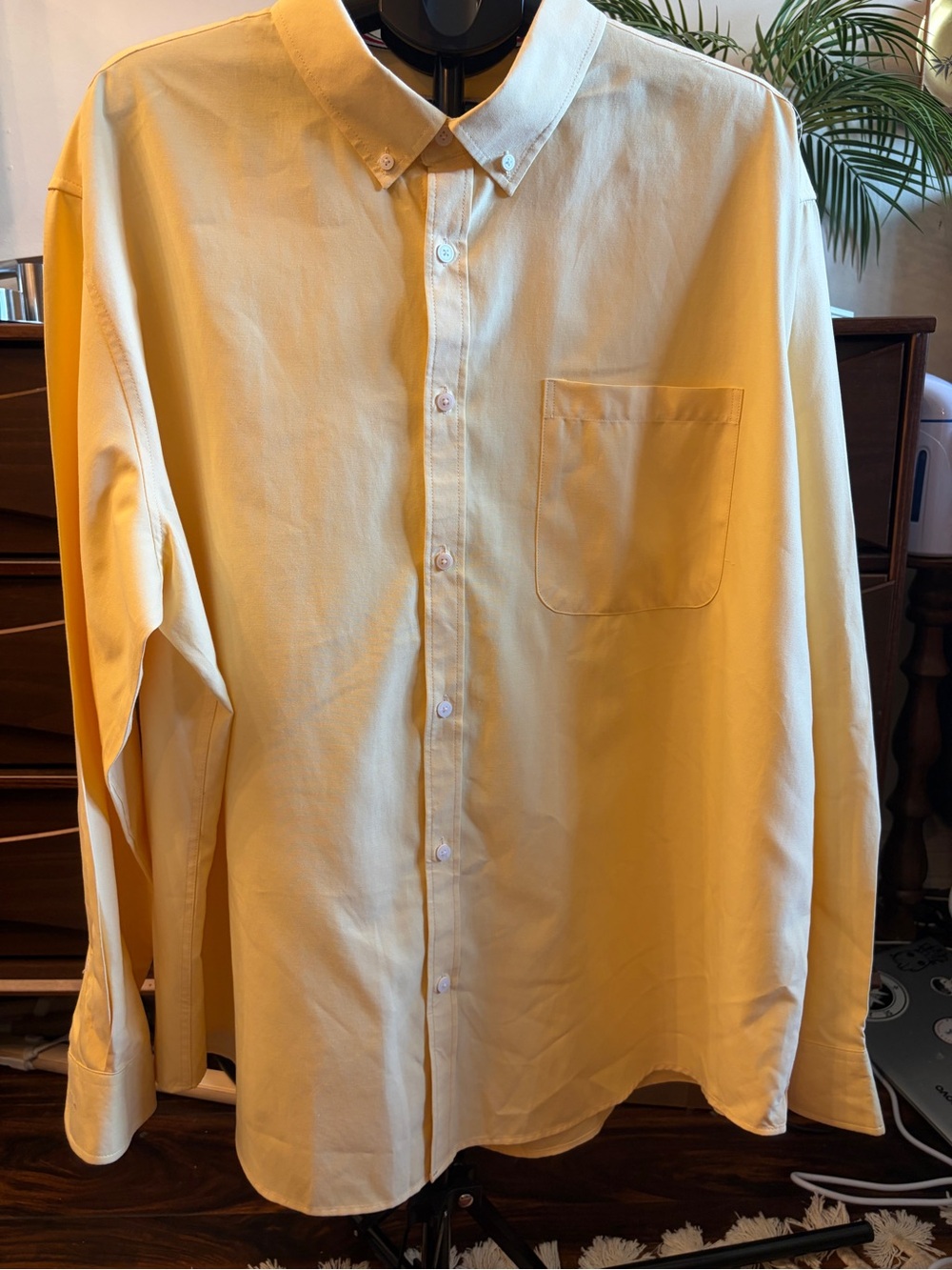 Oxford Men's Button-Down Shirt in Pale Yellow